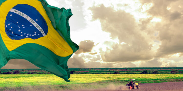 Vantagens comparativas do agronegócio brasileiro (15)